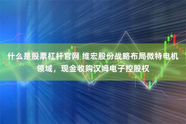 什么是股票杠杆官网 维宏股份战略布局微特电机领域，现金收购汉姆电子控股权