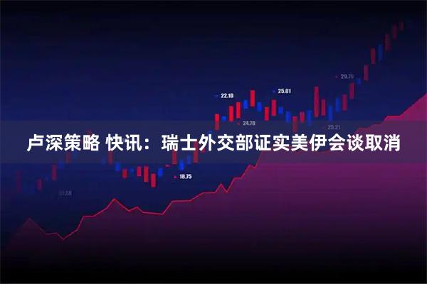 卢深策略 快讯：瑞士外交部证实美伊会谈取消