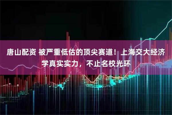 唐山配资 被严重低估的顶尖赛道！上海交大经济学真实实力，不止名校光环